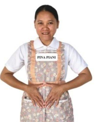 PINA PIANI