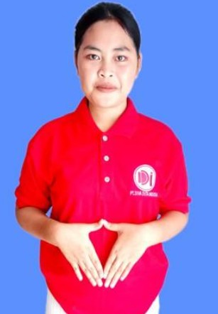 NUR SAZILA